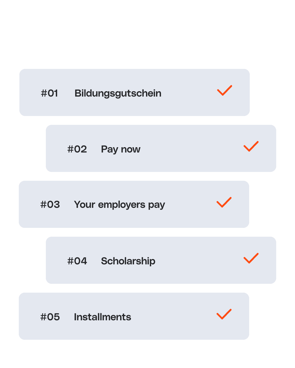 List of payment options with checkmarks