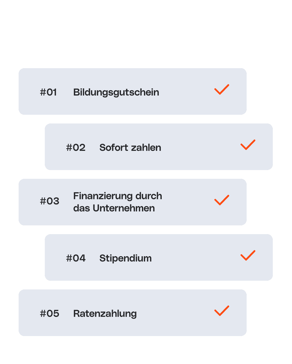 Liste von Zahlungsoptionen mit Häkchen