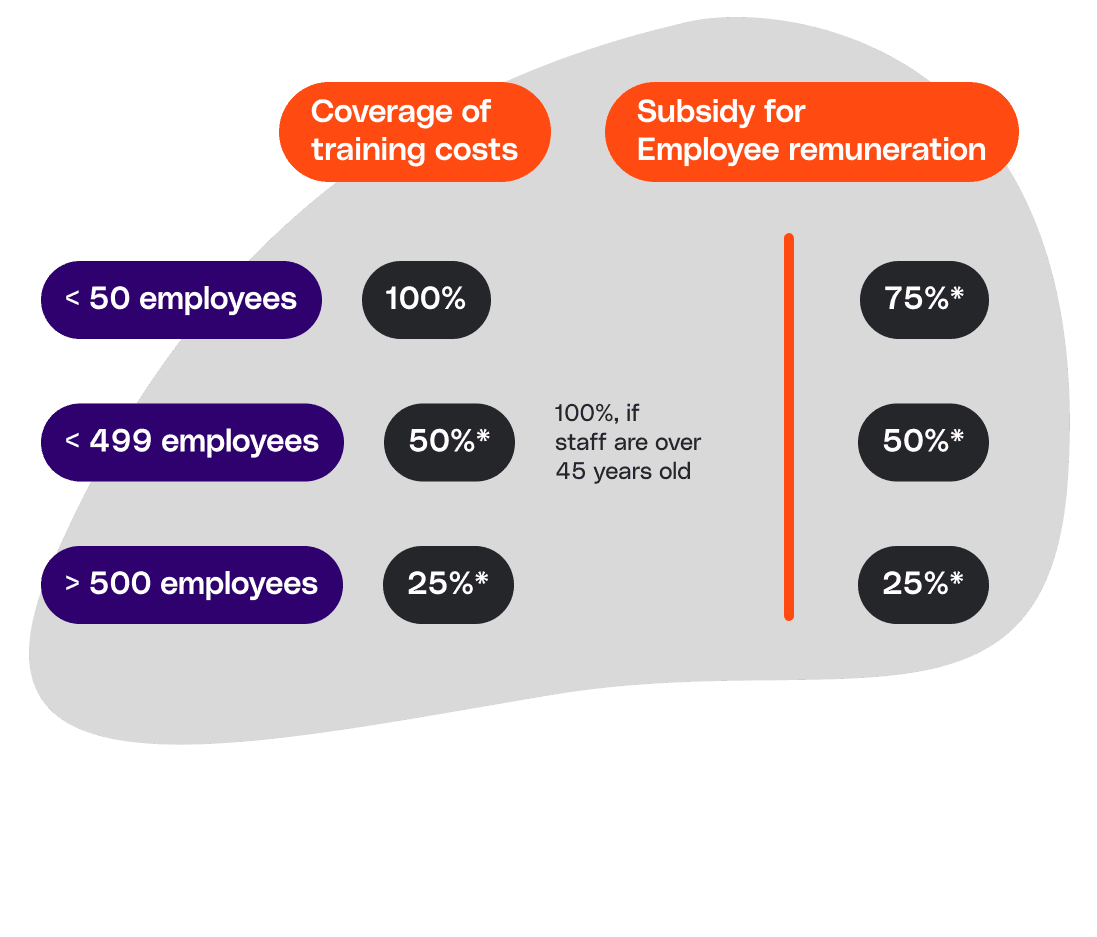 Graphic showing training cost coverage and employee compensation subsidies by company size