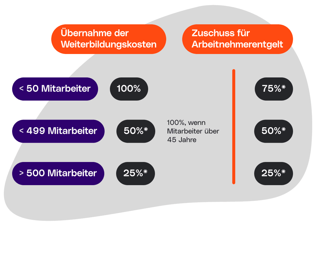 Grafik zur Abdeckung von Ausbildungskosten und Mitarbeitervergütung nach Mitarbeiterzahl