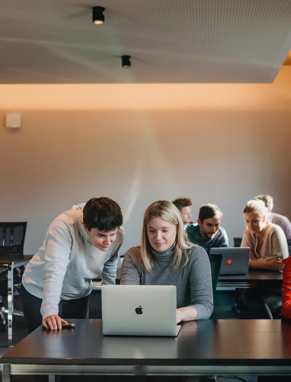 People working together on laptops in a bright room.